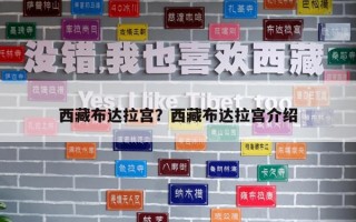 西藏布達(dá)拉宮？西藏布達(dá)拉宮介紹