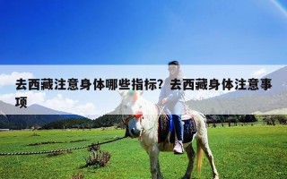 去西藏注意身體哪些指標？去西藏身體注意事項