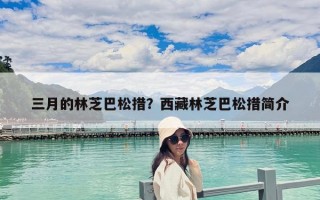 三月的林芝巴松措？西藏林芝巴松措簡(jiǎn)介