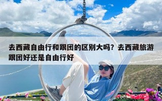 去西藏自由行和跟團的區別大嗎？去西藏旅游跟團好還是自由行好