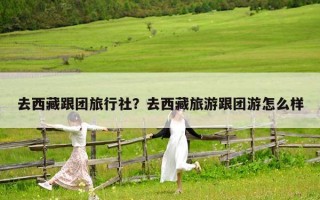 去西藏跟團旅行社？去西藏旅游跟團游怎么樣