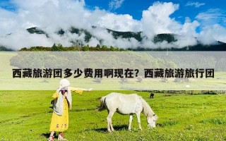 西藏旅游團多少費用啊現(xiàn)在？西藏旅游旅行團