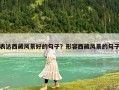 表達西藏風景好的句子？形容西藏風景的句子