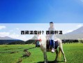 西藏溫度計(jì)？西藏積溫