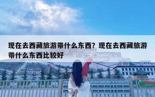 現在去西藏旅游帶什么東西？現在去西藏旅游帶什么東西比較好