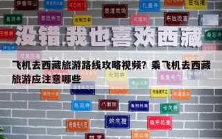 飛機(jī)去西藏旅游路線攻略視頻？乘飛機(jī)去西藏旅游應(yīng)注意哪些