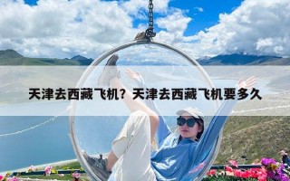 天津去西藏飛機(jī)？天津去西藏飛機(jī)要多久