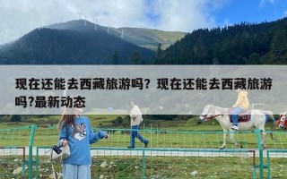 現在還能去西藏旅游嗎？現在還能去西藏旅游嗎?最新動態