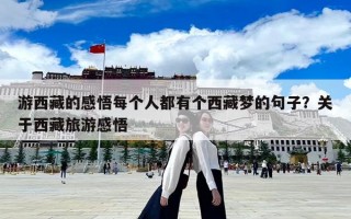 游西藏的感悟每個人都有個西藏夢的句子？關于西藏旅游感悟