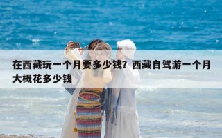 在西藏玩一個月要多少錢？西藏自駕游一個月大概花多少錢