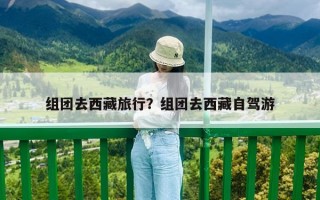組團去西藏旅行？組團去西藏自駕游