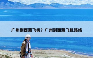 廣州到西藏飛機？廣州到西藏飛機路線