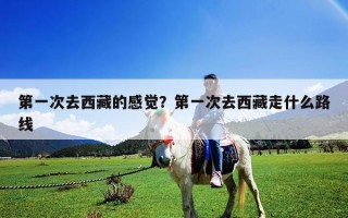 第一次去西藏的感覺？第一次去西藏走什么路線