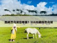 西藏然烏湖在哪里？318川藏線然烏湖