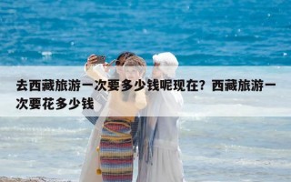 去西藏旅游一次要多少錢呢現在？西藏旅游一次要花多少錢