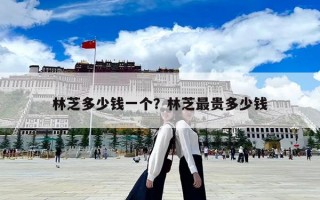 林芝多少錢一個？林芝最貴多少錢