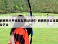 西藏跟團從哪里出發比較好？西藏跟團去還是自己去
