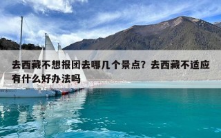 去西藏不想報團去哪幾個景點？去西藏不適應有什么好辦法嗎