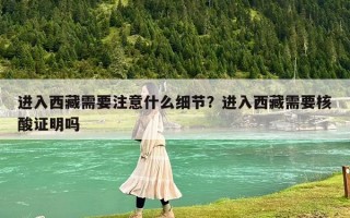進入西藏需要注意什么細節？進入西藏需要核酸證明嗎