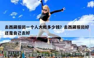 去西藏報團一個人大概多少錢？去西藏報團好還是自己去好
