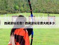 西藏游玩花費？西藏游玩花費大概多少