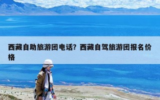 西藏自助旅游團電話？西藏自駕旅游團報名價格