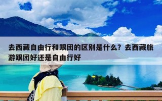 去西藏自由行和跟團的區別是什么？去西藏旅游跟團好還是自由行好