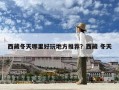 西藏冬天哪里好玩地方推薦？西藏 冬天