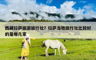 西藏拉薩旅游旅行社？拉薩當(dāng)?shù)芈眯猩绫容^好的是哪幾家