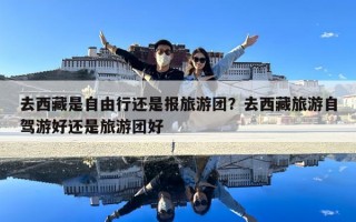 去西藏是自由行還是報旅游團？去西藏旅游自駕游好還是旅游團好