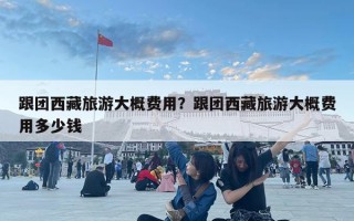 跟團西藏旅游大概費用？跟團西藏旅游大概費用多少錢
