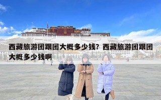 西藏旅游團(tuán)跟團(tuán)大概多少錢？西藏旅游團(tuán)跟團(tuán)大概多少錢啊