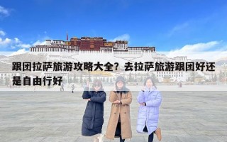 跟團(tuán)拉薩旅游攻略大全？去拉薩旅游跟團(tuán)好還是自由行好