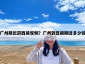 廣州跟團(tuán)游西藏視頻？廣州到西藏跟團(tuán)多少錢(qián)