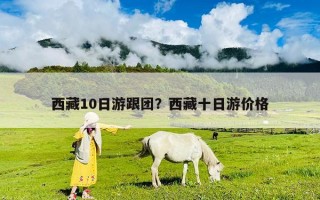西藏10日游跟團？西藏十日游價格