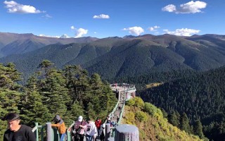 林芝的旅行社線路報價要多少錢？林芝旅游團費用一般多少？