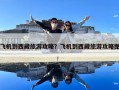 飛機到西藏旅游攻略？飛機到西藏旅游攻略圖