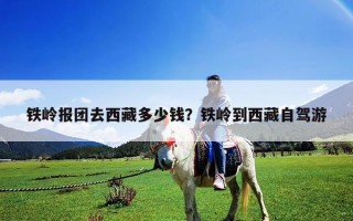 鐵嶺報(bào)團(tuán)去西藏多少錢？鐵嶺到西藏自駕游