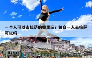 一個人可以去拉薩的哪里玩？獨自一人去拉薩可以嗎