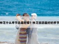 林芝什么季節去最好看？林芝旅游最好的季節