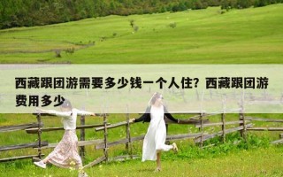 西藏跟團游需要多少錢一個人住？西藏跟團游費用多少