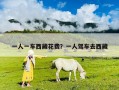 一人一車西藏花費？一人駕車去西藏