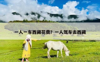一人一車西藏花費？一人駕車去西藏