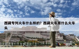 西藏專列火車什么樣的？西藏火車用什么火車頭