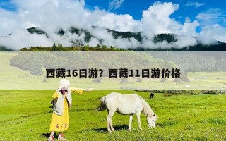 西藏16日游？西藏11日游價(jià)格