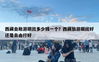西藏自助游跟團多少錢一個？西藏旅游跟團好還是自由行好