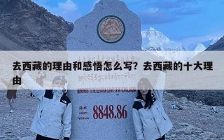 去西藏的理由和感悟怎么寫？去西藏的十大理由