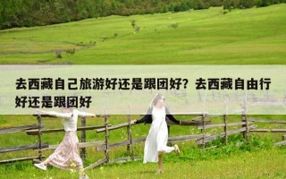 去西藏自己旅游好還是跟團好？去西藏自由行好還是跟團好