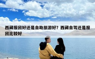 西藏報(bào)團(tuán)好還是自助旅游好？西藏自駕還是報(bào)團(tuán)比較好
