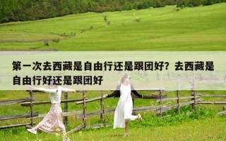 第一次去西藏是自由行還是跟團(tuán)好？去西藏是自由行好還是跟團(tuán)好